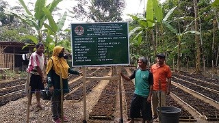 Bantuan_KBD_Pekacangan.jpg