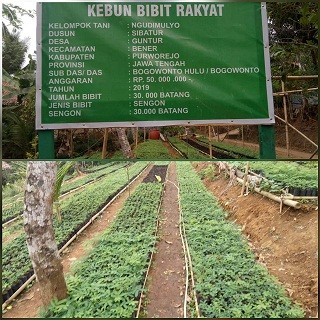 Kebun_Bibit_Rakyat_Desa_Guntur.jpg