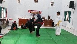 Porcam_Pencak_Silat.jpg