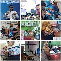 Webinar_Posyandu.jpg
